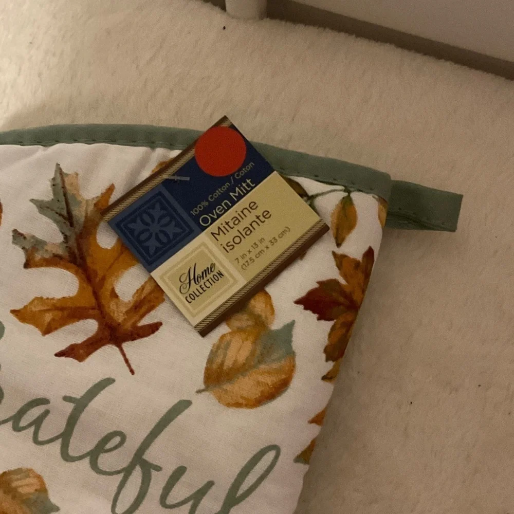 Home Collection oven mitt
